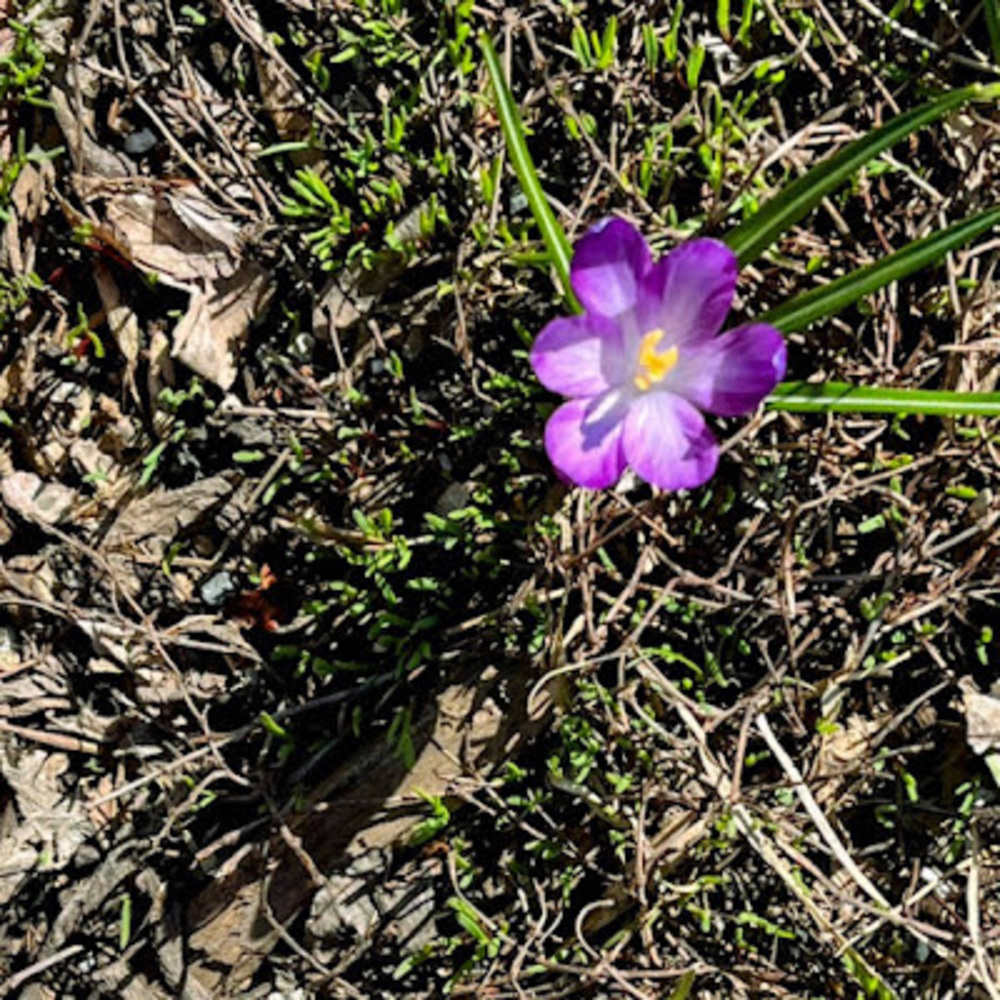 Meet your Posher, Jo